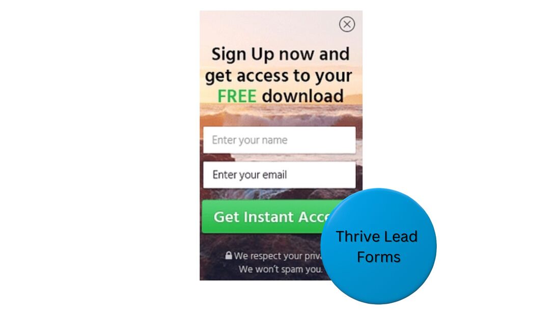 Thrive Themes - lead forms